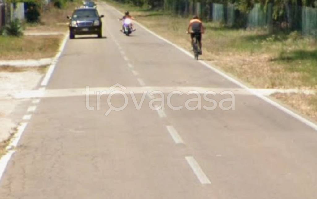 terreno agricolo in vendita a San Nicandro Garganico