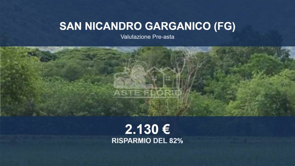terreno agricolo in vendita a San Nicandro Garganico