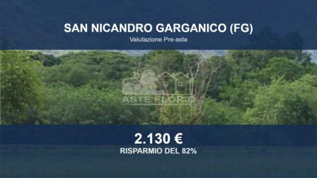 terreno agricolo in vendita a San Nicandro Garganico