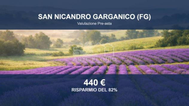 terreno agricolo in vendita a San Nicandro Garganico
