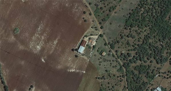 terreno agricolo in vendita a San Nicandro Garganico