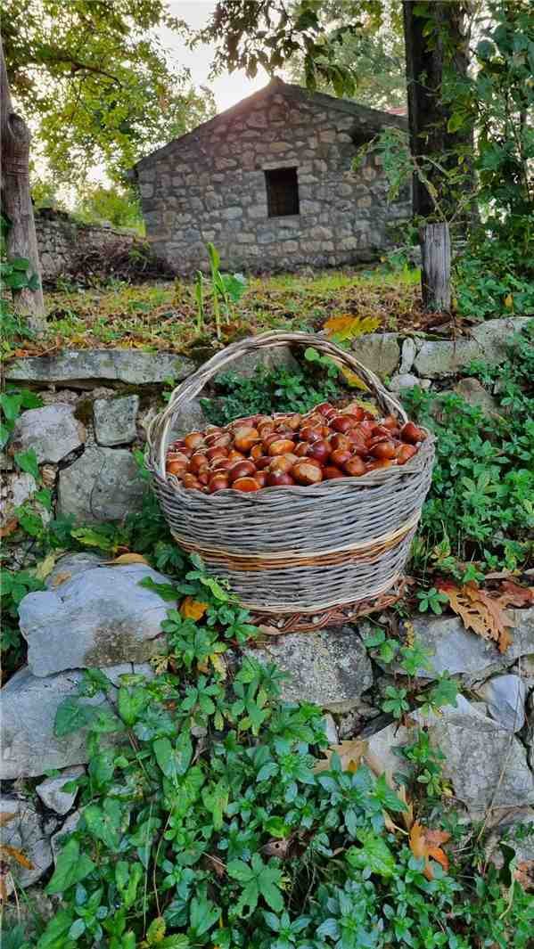 terreno in vendita a San Nicandro Garganico