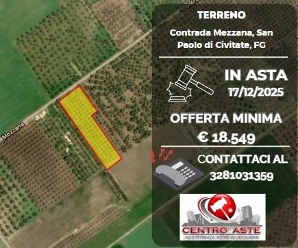 terreno agricolo in vendita a San Paolo di Civitate