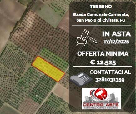 terreno agricolo in vendita a San Paolo di Civitate