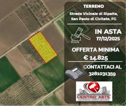 terreno agricolo in vendita a San Paolo di Civitate