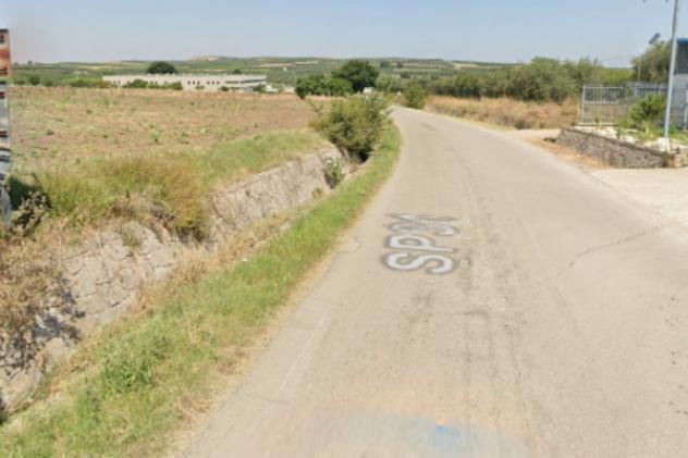 terreno agricolo in vendita a San Paolo di Civitate