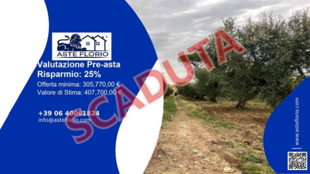 terreno agricolo in vendita a San Paolo di Civitate