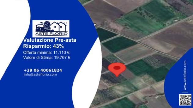 terreno agricolo in vendita a San Paolo di Civitate