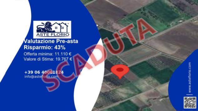 immagine annuncio 0 di 11