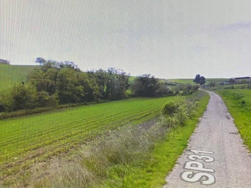 terreno agricolo in vendita a San Paolo di Civitate