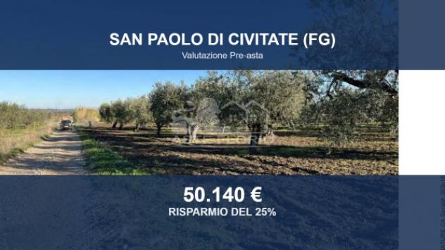 terreno agricolo in vendita a San Paolo di Civitate