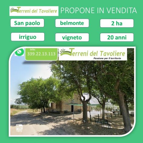 terreno agricolo in vendita a San Paolo di Civitate