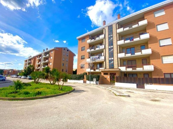 immagine annuncio 0 di 5