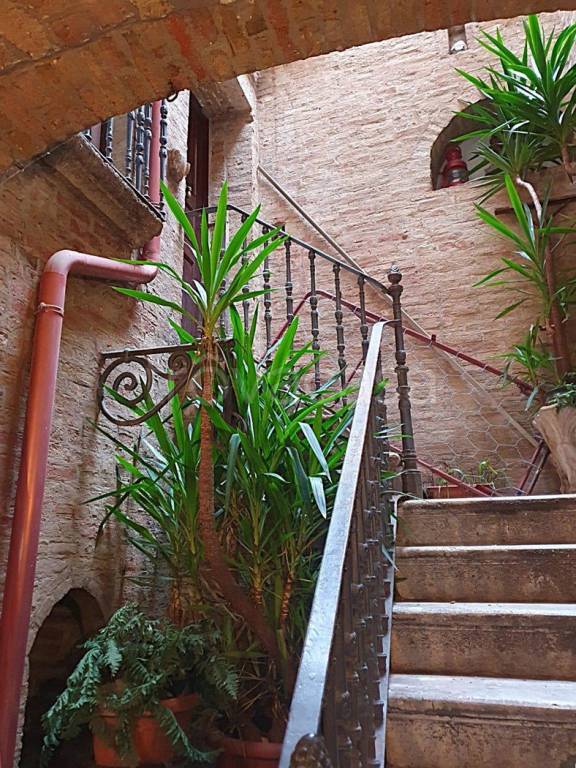 casa indipendente in vendita a San Severo in zona Centro Storico