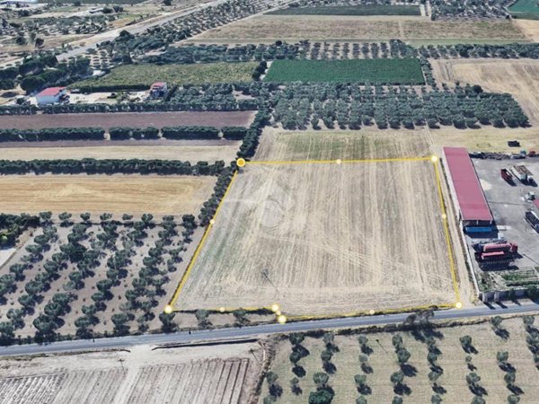 terreno agricolo in vendita a San Severo