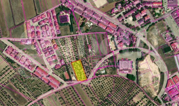 terreno agricolo in vendita a San Severo