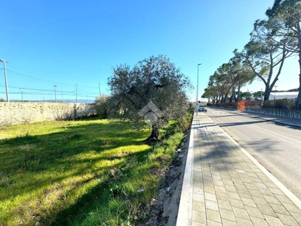 terreno agricolo in vendita a San Severo