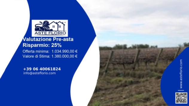 terreno agricolo in vendita a San Severo