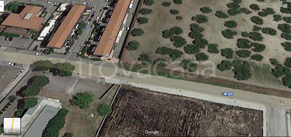 terreno agricolo in vendita a San Severo