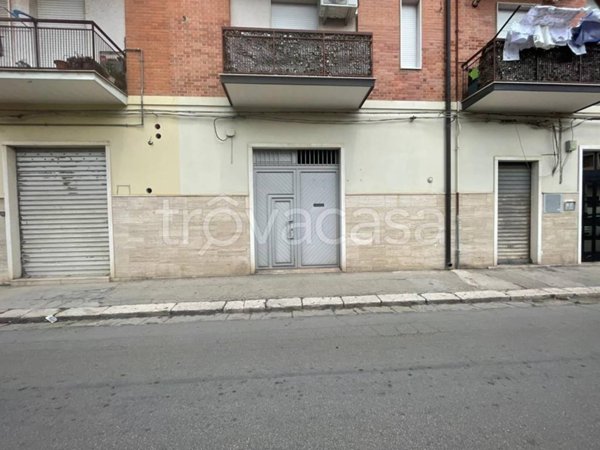 casa indipendente in vendita a San Severo in zona Centro Storico