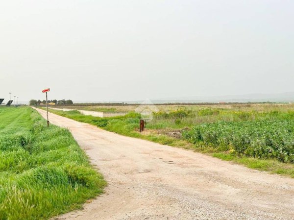 terreno agricolo in vendita a San Severo