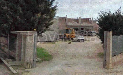 terreno industriale in vendita a San Severo