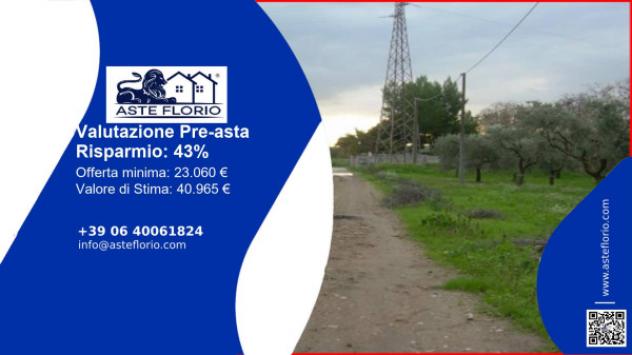 terreno agricolo in vendita a San Severo