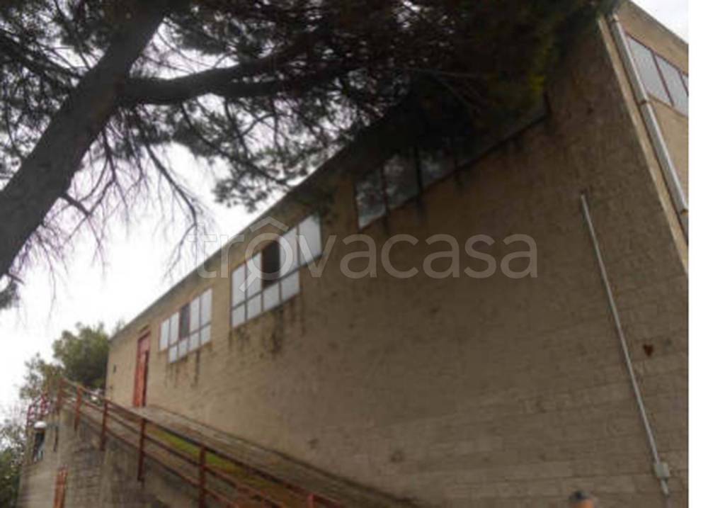 locale commerciale in vendita a San Severo