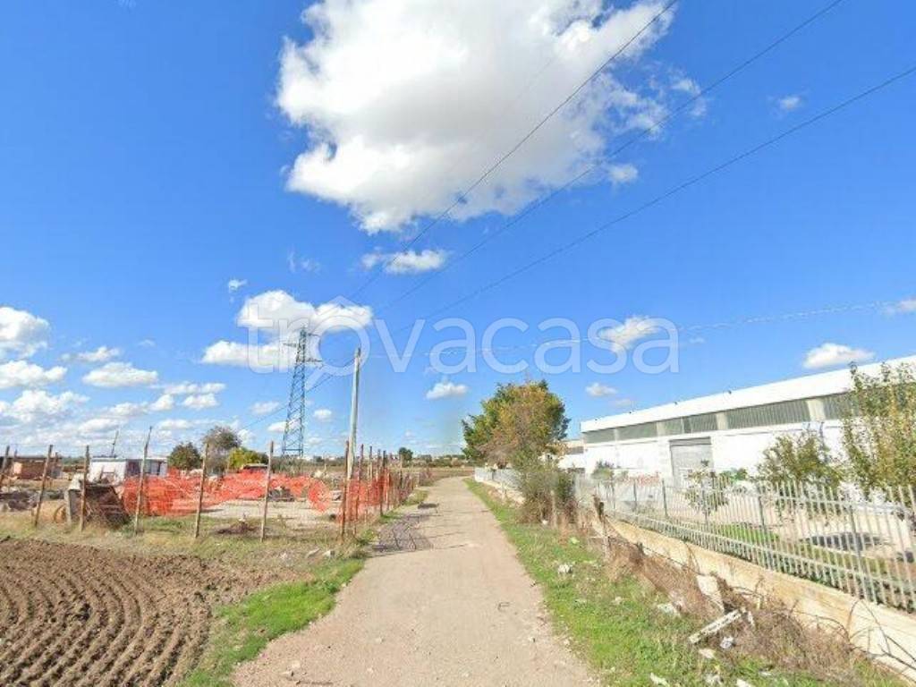 terreno agricolo in vendita a San Severo