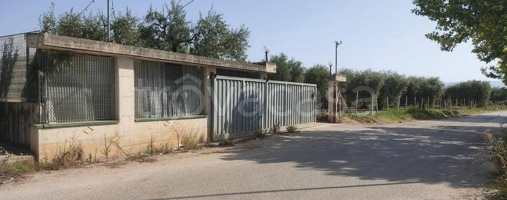 ufficio in vendita a San Severo