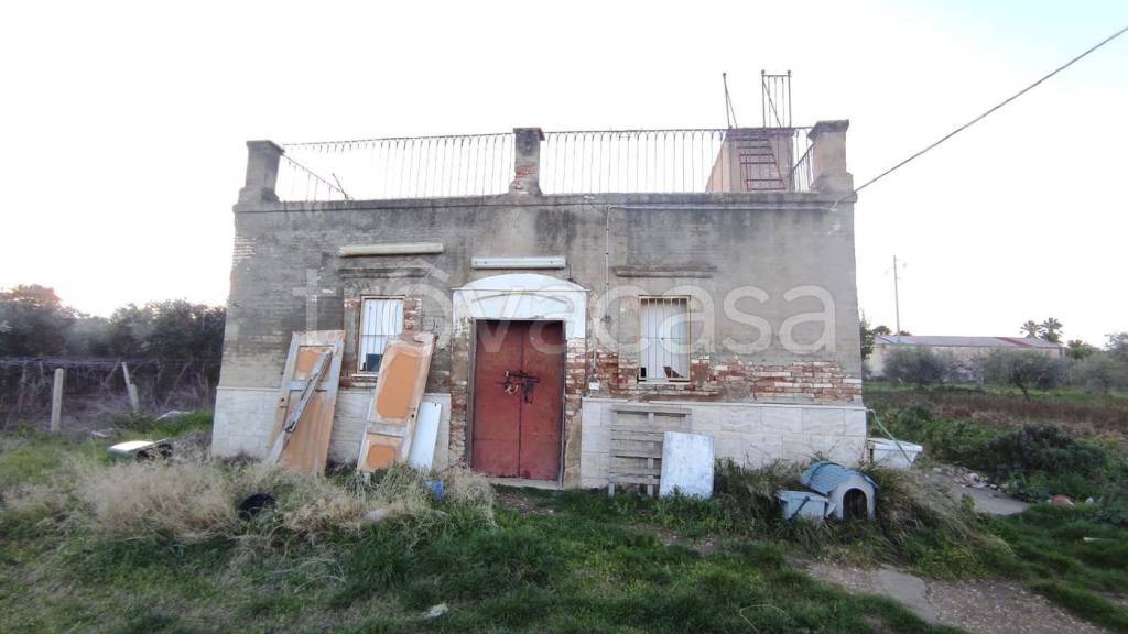 terreno agricolo in vendita a San Severo
