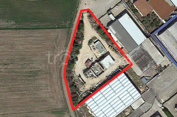 terreno agricolo in vendita a San Severo