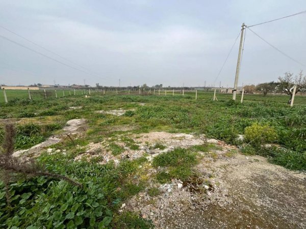 terreno agricolo in vendita a San Severo