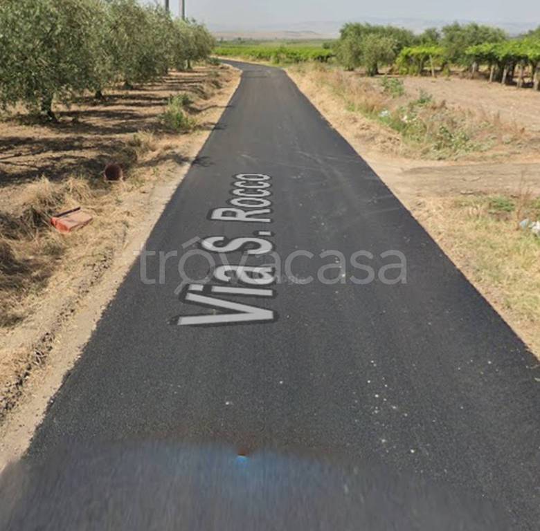 terreno agricolo in vendita a San Severo