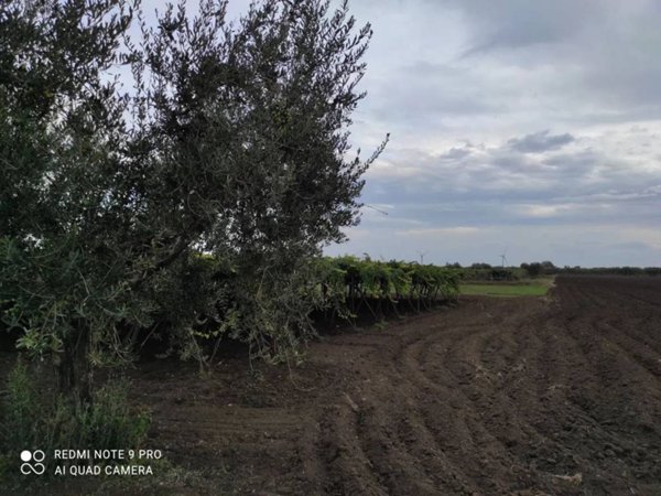 casa indipendente in vendita a San Severo