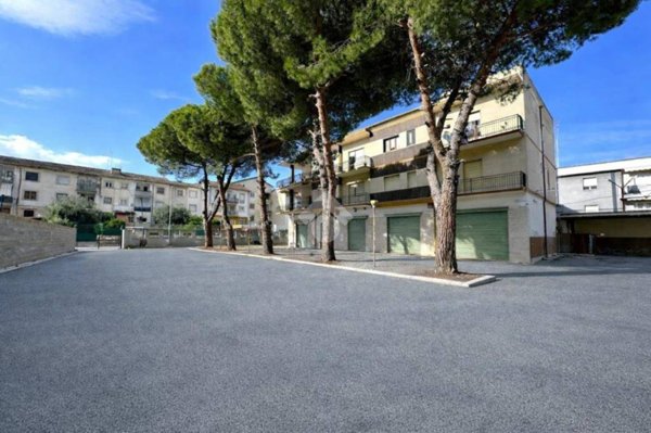 negozio in vendita a San Severo