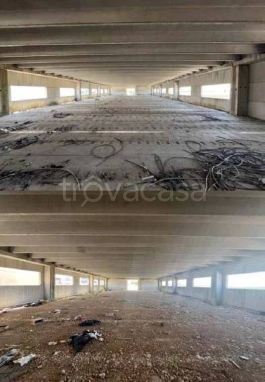 capannone in vendita a San Severo