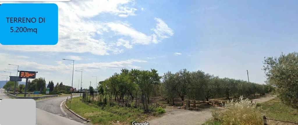 terreno agricolo in vendita a San Severo