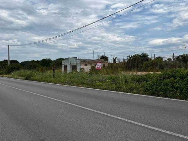 terreno agricolo in vendita a San Severo