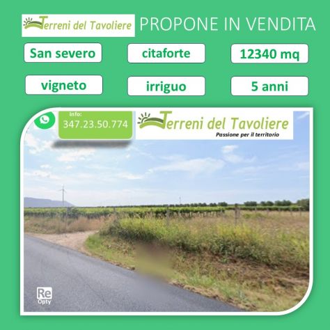 terreno agricolo in vendita a San Severo