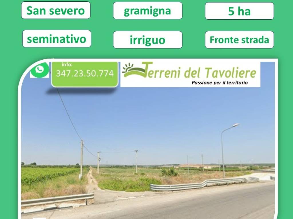 terreno agricolo in vendita a San Severo