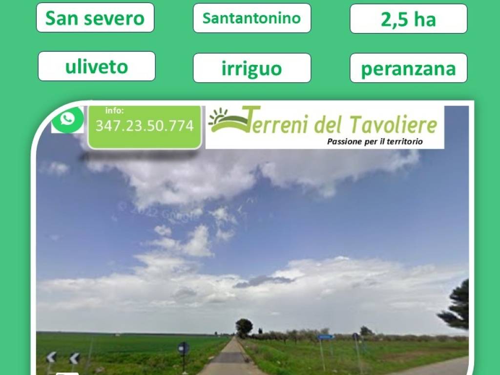 terreno agricolo in vendita a San Severo