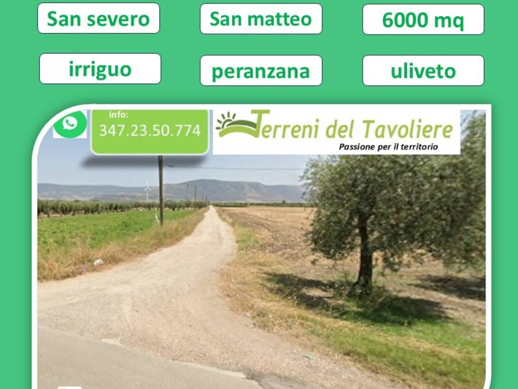 terreno agricolo in vendita a San Severo