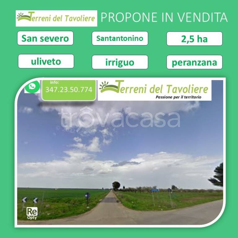 terreno agricolo in vendita a San Severo