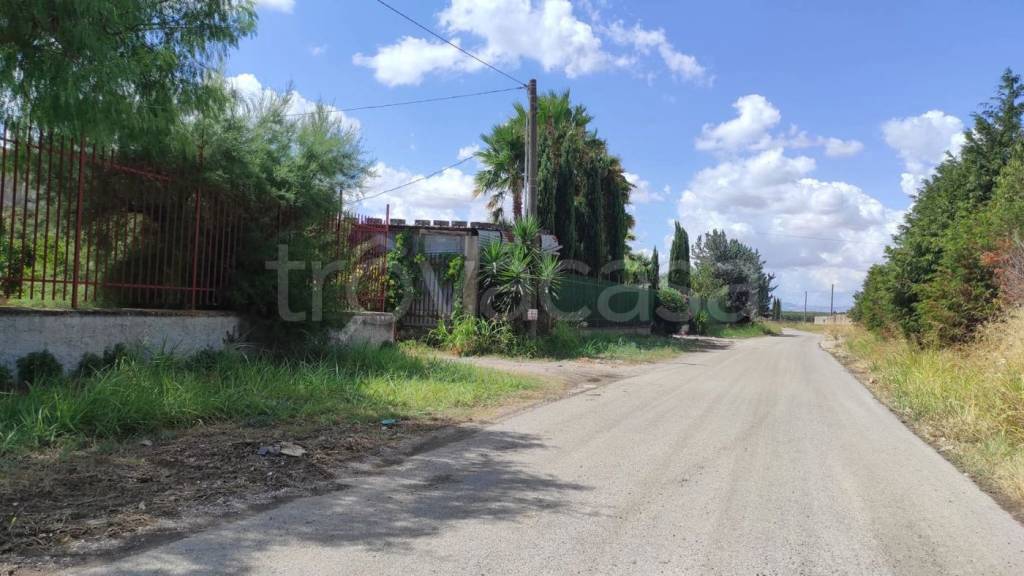 terreno agricolo in vendita a San Severo