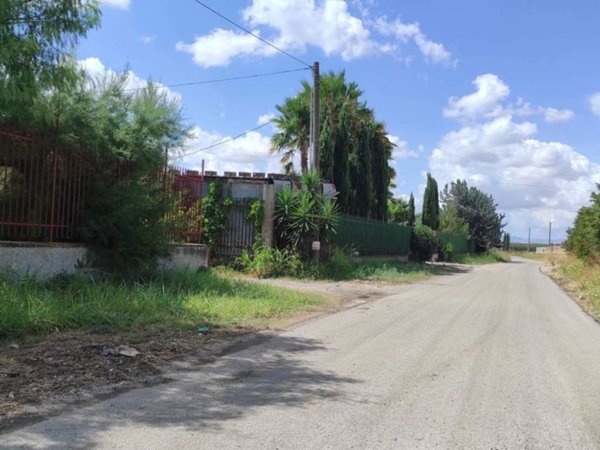 terreno agricolo in vendita a San Severo