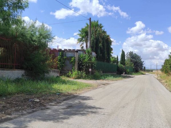 terreno agricolo in vendita a San Severo