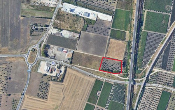 terreno agricolo in vendita a San Severo