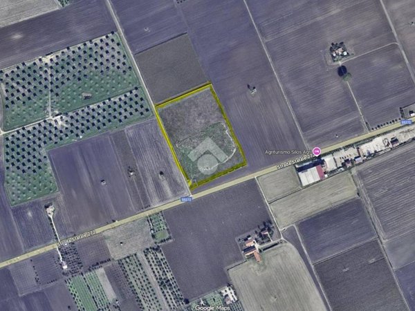 terreno agricolo in vendita a San Severo