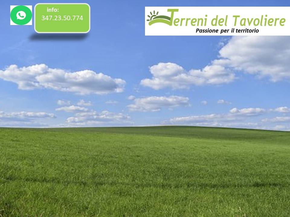 terreno in vendita a San Severo